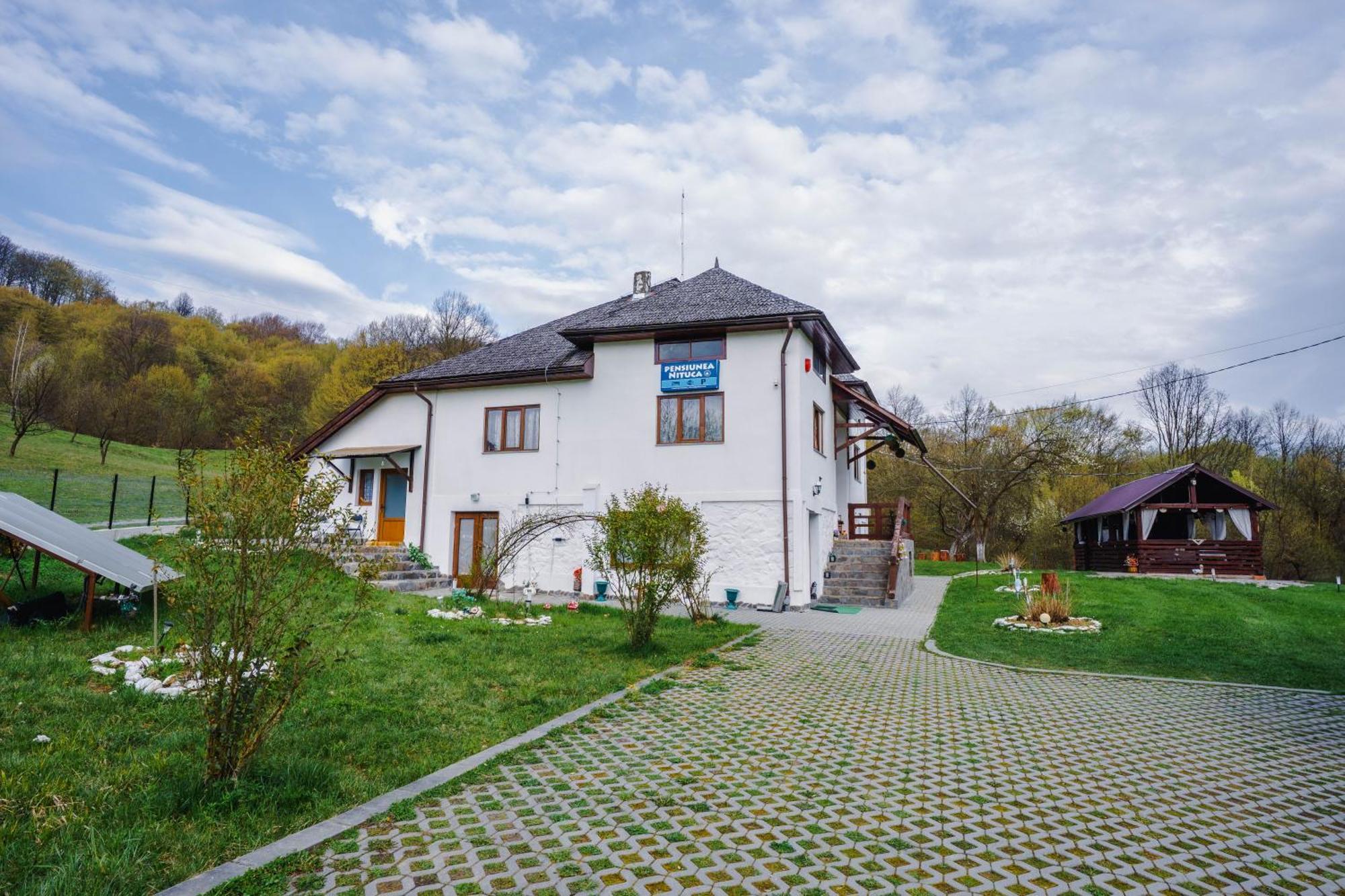 Pensiunea Nituca Moisei Exterior photo