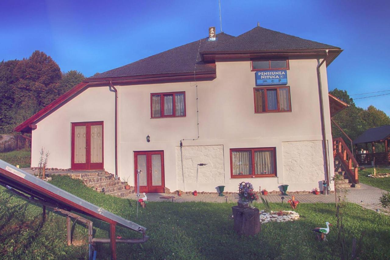Pensiunea Nituca Moisei Exterior photo