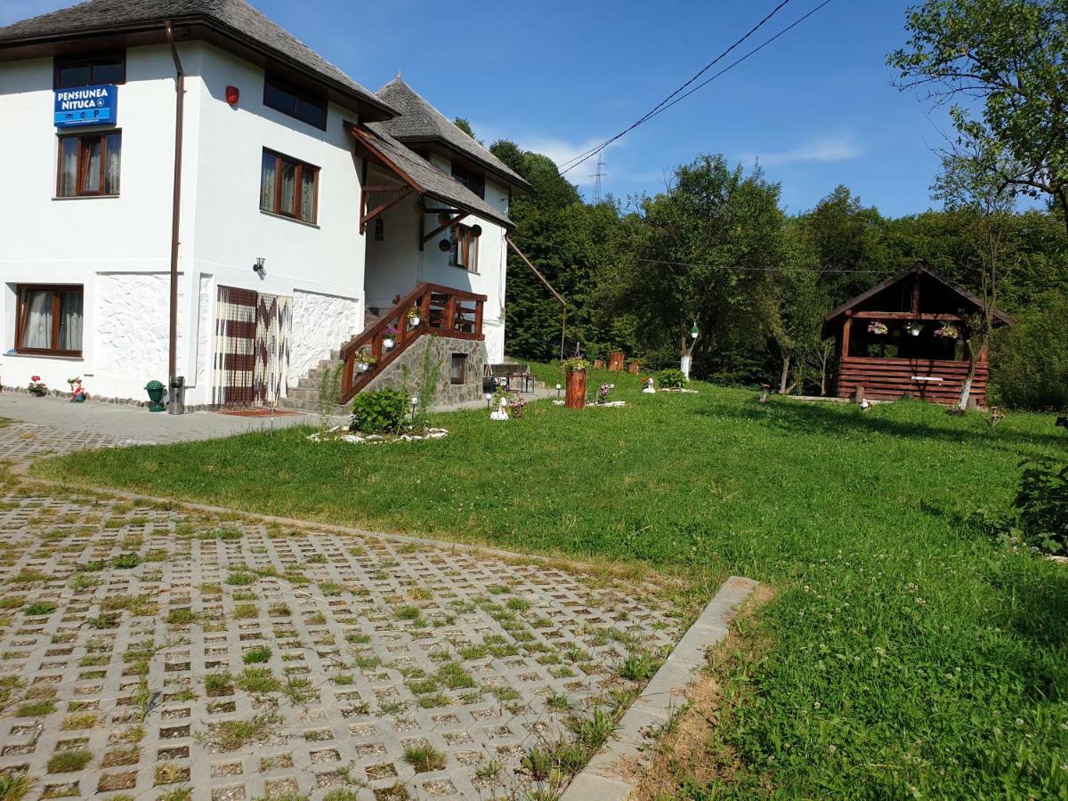 Pensiunea Nituca Moisei Exterior photo